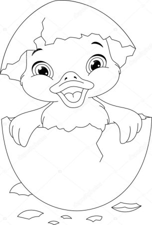 Раскраска цыплёнок вылупившийся из яйца