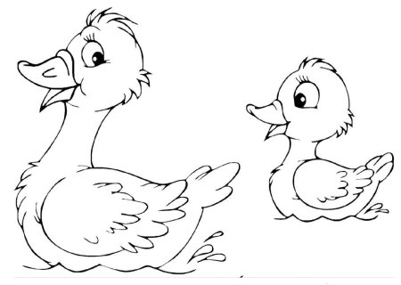 Утка раскраска