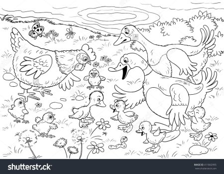 Рисунки для раскрашивания птичий двор из сказки Гадкий утенок