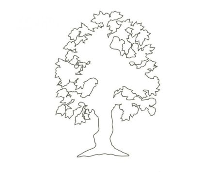 Контур дуба дерева