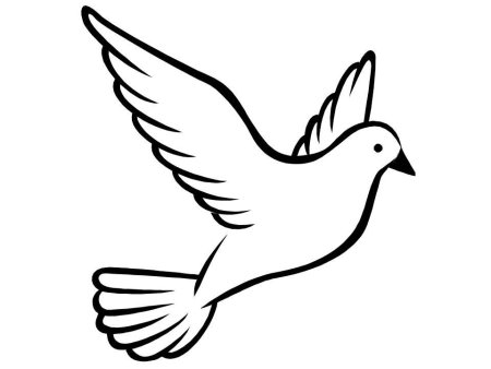 Голубь черно белый