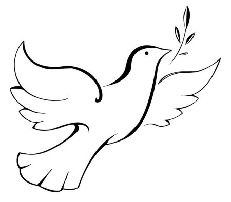 Голубь Пикассо