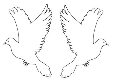 Голубь раскраска для детей