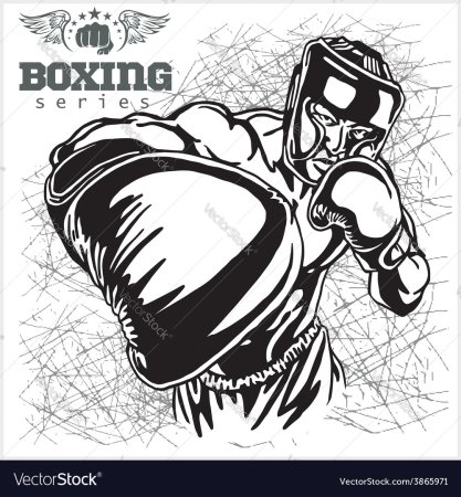 Бокс иллюстрации в векторной графике