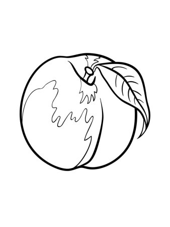 Персик раскраска для детей