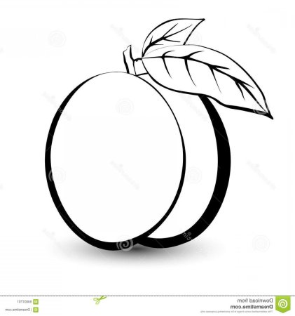 Персик черно белый