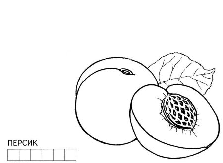 Персик раскраска