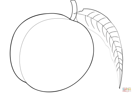 Персик раскраска