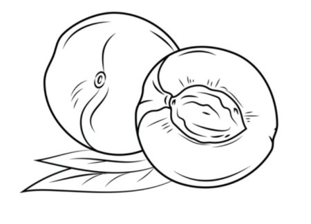 Нектарин раскраска