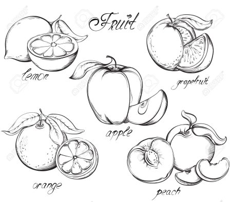 Персик Векторная Графика