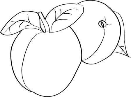 Персик раскраска