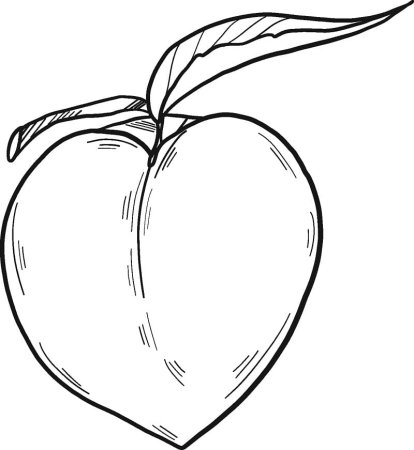 Нектарин раскраска