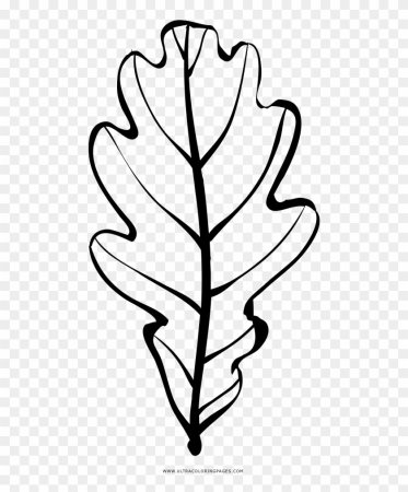 Дубовый лист трафарет