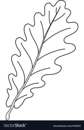 Дубовый лист трафарет для вырезания