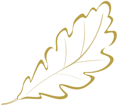 Трафареты "листья"