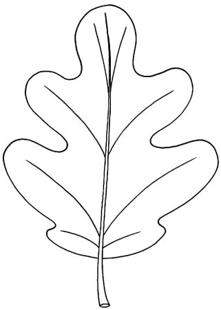 Лист дуба контурный рисунок (45 фото)