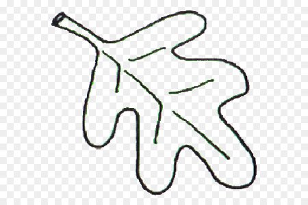 Лист дуба контур