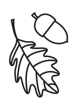 Дубовый лист схематично