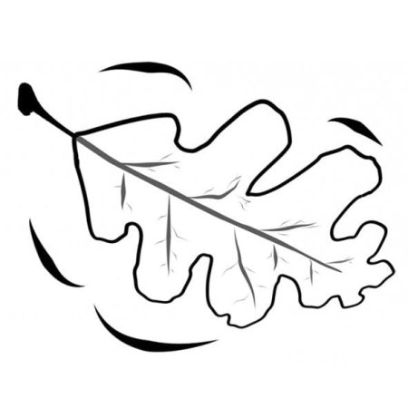 Дубовый лист трафарет