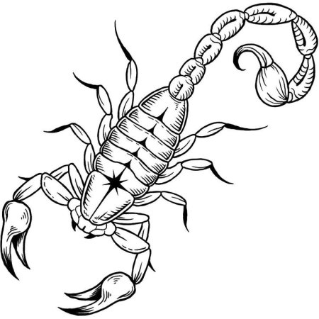Скорпион рисунок простой