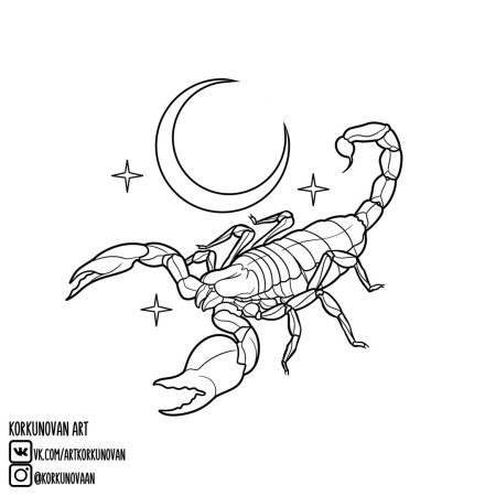 Скорпион чёрно белый