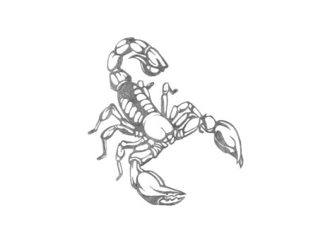 Скорпионы рисунок детей для раскрашивания