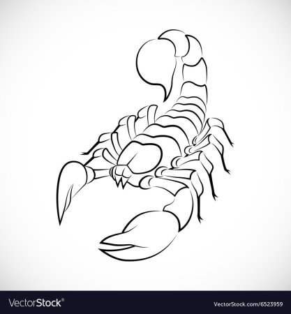 Эскиз скорпиона ребёнку