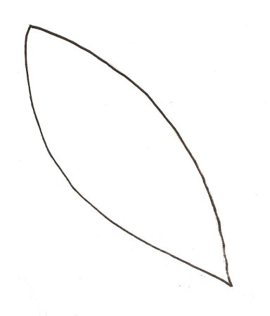 Трафарет лепестка ромашки для вырезания