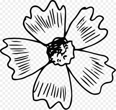 Красивый лепесток рисунок