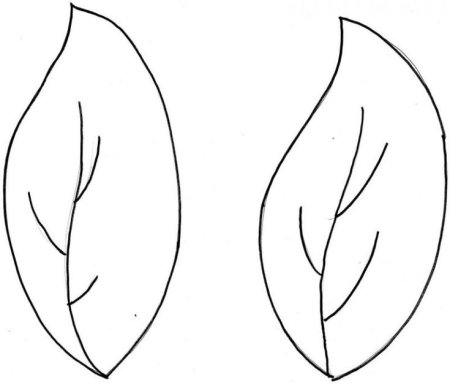 Трафарет листочка