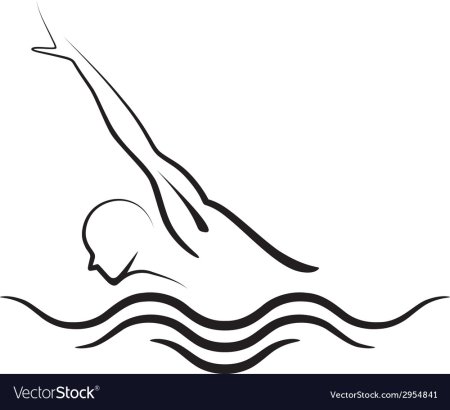 Плавание вектор