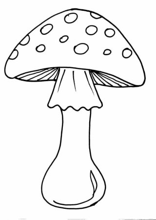 Мухомор раскраска для детей