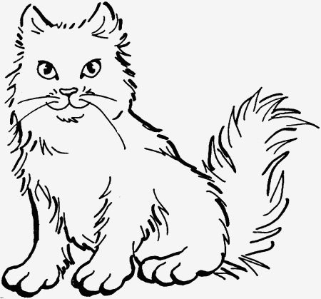 Пушистая кошка раскраска