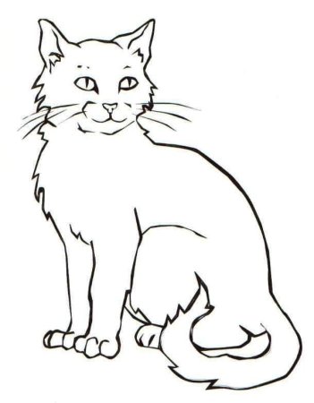 Кот рисунок раскраска