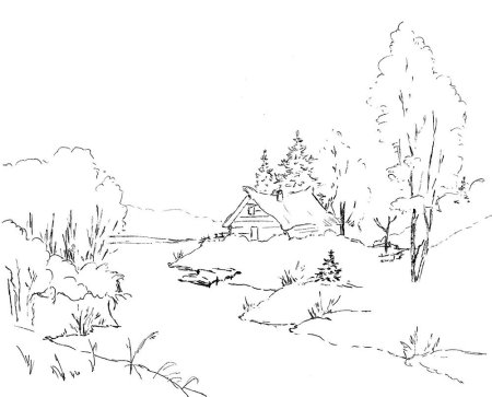 Зимний лес раскраска