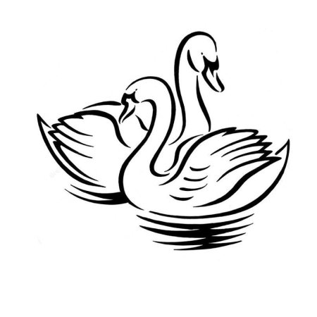 Лебедь контур