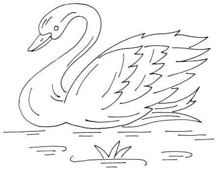 Лебедь раскраска