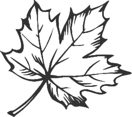 Кленовый лист рисунок