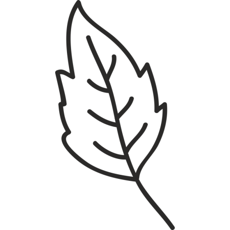 Кленовый листик раскраска