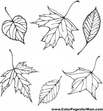 Трафареты "листья"
