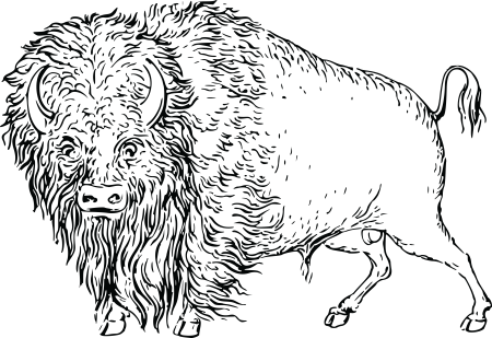 Контур зубра рисунок