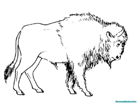 ЗУБР Графика