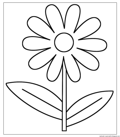 Ромашка раскраска