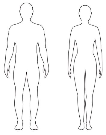 Контур человека