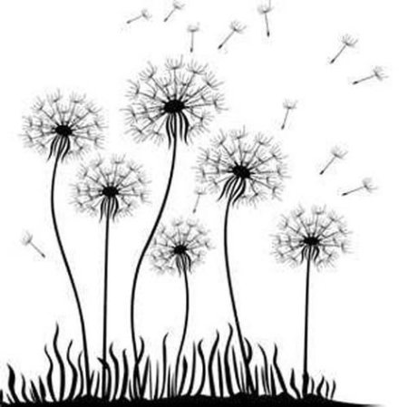Одуванчик карандашом