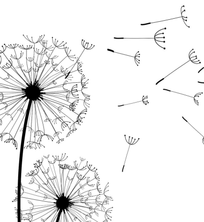 Одуванчик трафарет для детей