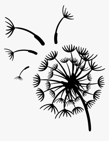 Раскраска одуванчик цветок