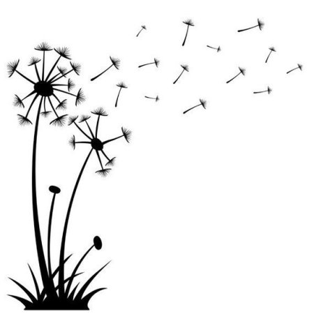 Одуванчик схематично