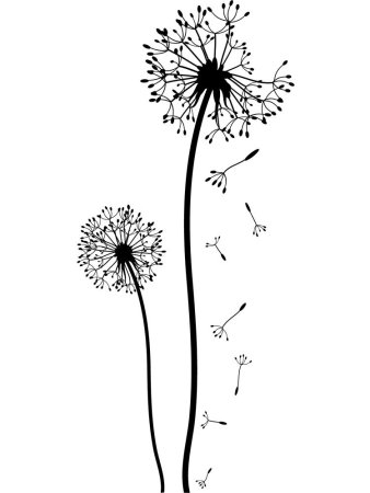 Одуванчик схематично