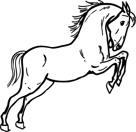 Лошадь контур